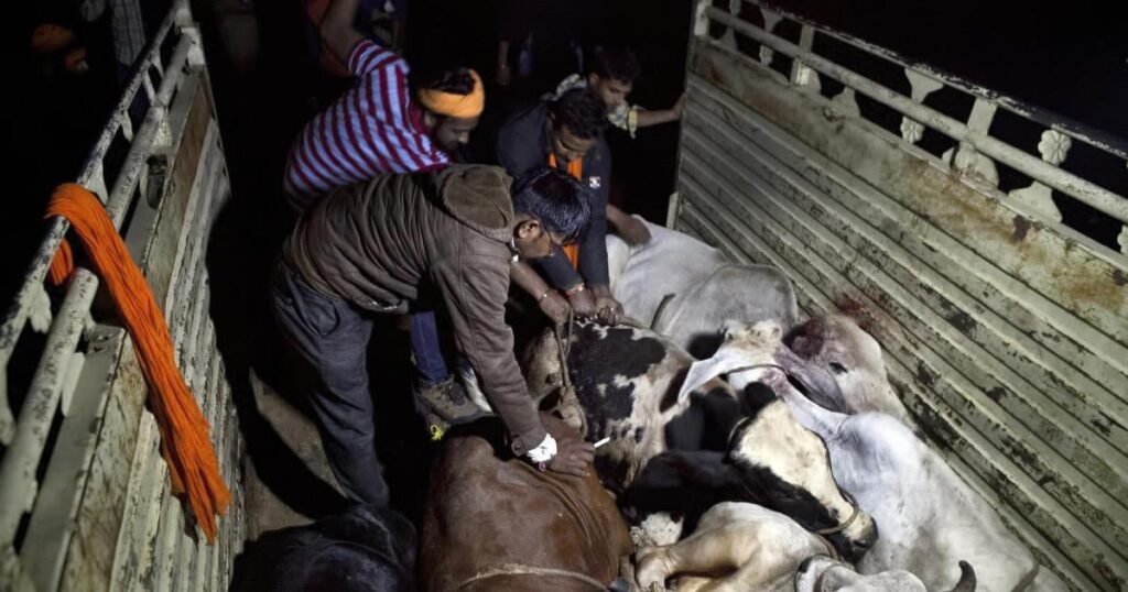 Opposition Leader Seeks Action: Police Inaction in Cattle Smuggling Case Sparks Outrage